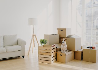 Local-Moving-Services--in-Sacaton-Arizona-local-moving-services-sacaton-arizona.jpg-image