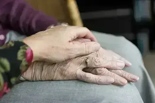 Senior-Citizen-Movers--in-Cortaro-Arizona-senior-citizen-movers-cortaro-arizona.jpg-image