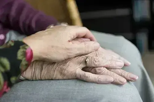 Senior-Citizen-Movers--in-Tonopah-Arizona-senior-citizen-movers-tonopah-arizona.jpg-image